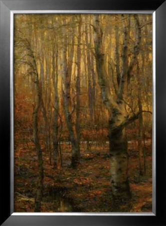 Into The Forest I by Jennie Tomao Pricing Limited Edition Print image