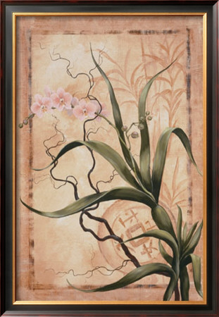 Asian Orchid Ii by Susanne Renee Leasure Pricing Limited Edition Print image