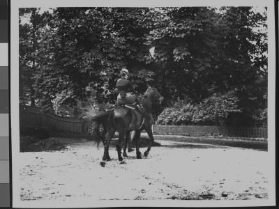 Rear View Of A Woman Riding Side Saddle On Horseback by Wallace G. Levison Pricing Limited Edition Print image