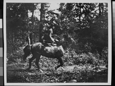 A Woman On A Horse Riding Side-Saddle In The Woods by George B. Brainerd Pricing Limited Edition Print image