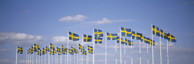 Swedish Flags Beneath Swedish Sky by Ove Eriksson Pricing Limited Edition Print image