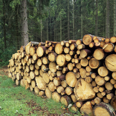 Stack Of Logs by Ove Eriksson Pricing Limited Edition Print image