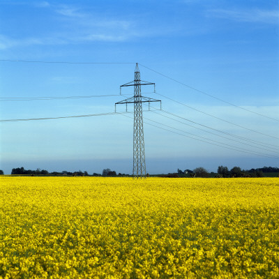 Electricity Pylon In A Field by Ove Eriksson Pricing Limited Edition Print image