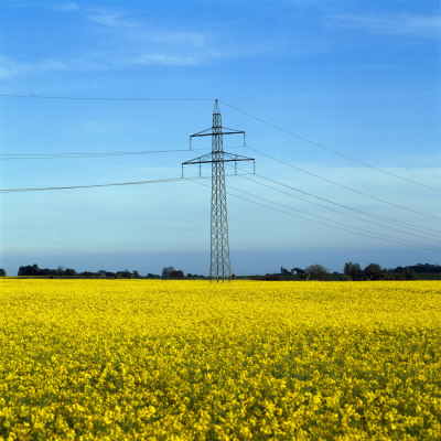 Electricity Pylon In A Field by Ove Eriksson Pricing Limited Edition Print image