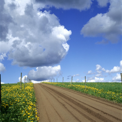 Clouds Over A Country Road by Ove Eriksson Pricing Limited Edition Print image