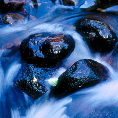 Wet Stones In A Stream by Inge Ekstrom Pricing Limited Edition Print image