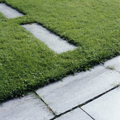 Pavement And Footpath In Grass by Lars Wallsten Pricing Limited Edition Print image