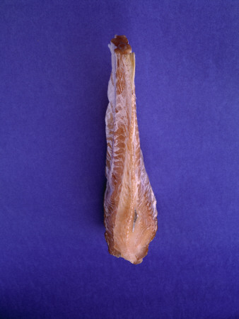 Fish Jerky, Traditional Icelandic Food by Bara K Kristinsdottir Pricing Limited Edition Print image