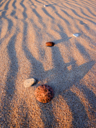Stones Lying In Sand by Anders Ekholm Pricing Limited Edition Print image