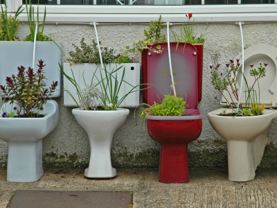 Planters by Dave Gorman Pricing Limited Edition Print image