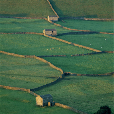 Sheepfolds, Gunnerside, North Yorkshire, England by Joe Cornish Pricing Limited Edition Print image