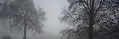 Royal Botanic Gardens, Kew, London, Palm House In Fog by Richard Bryant Pricing Limited Edition Print image