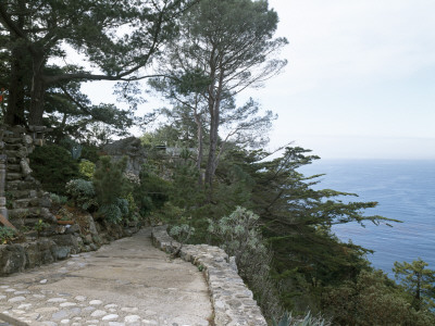 Wild Bird, Big Sur, California, 1957, Pathway To House, Architect: Nathaniel And Margaret Owings by Alan Weintraub Pricing Limited Edition Print image