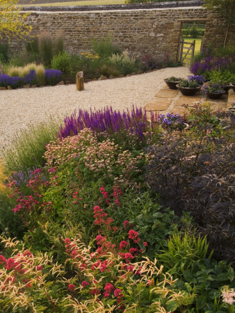 Gravel Garden- Centranthus Ruber, Astrantia Roma, Sambucus Nigra, Salvia Tanzerin, Aruncus Horatio by Clive Nichols Pricing Limited Edition Print image