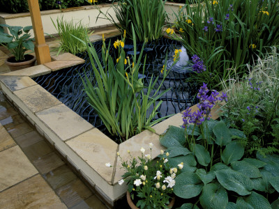 Pond With Decorative Cover By Ironhorse Studios Surrounded By Hosta Sieboldiana Elegans And Irises by Clive Nichols Pricing Limited Edition Print image