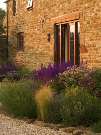 The Gravel Garden With Stipa Tenuissima, Astrantia 'Roma' And The Barn by Clive Nichols Pricing Limited Edition Print image