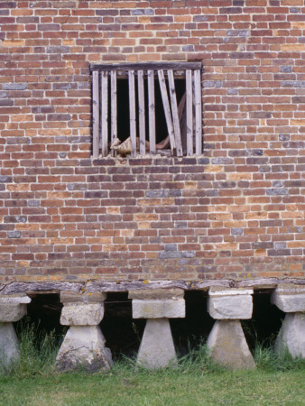 Farmyard, Detail Of Brick Granary Supported On Stone Staddle Stones Against Rats by Gillian Darley Pricing Limited Edition Print image