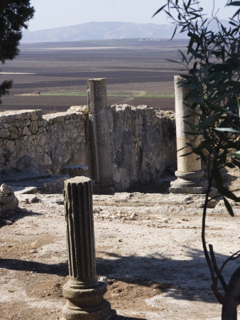 Public Baths, Numidian/Roman Site Of Volubilis, Near Meknes, Morocco by Natalie Tepper Pricing Limited Edition Print image