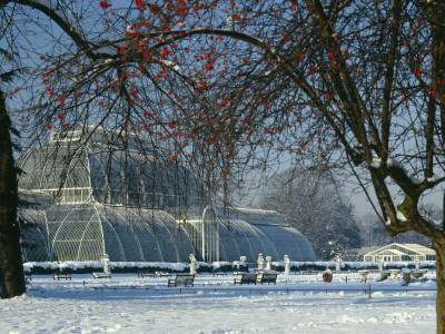 Royal Botanic Gardens Kew - Palm House - Tropical Plant House In Snow Built 1848 by Richard Bryant Pricing Limited Edition Print image