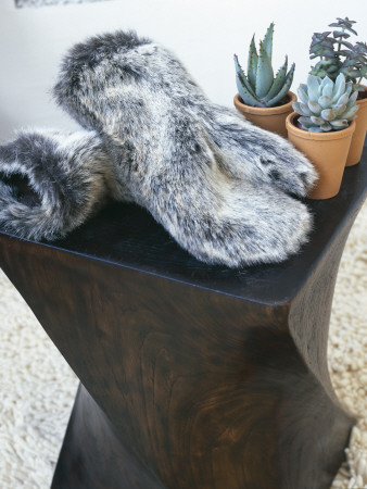 Lifestyle Contrasts, Twisted Wooden Side Table Succulents And Furry Mittens, Arctic And Desert by Richard Powers Pricing Limited Edition Print image