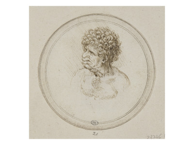 Homme En Buste, La Poitrine Nue, Les Cheveux Frisés by Léonard De Vinci Pricing Limited Edition Print image