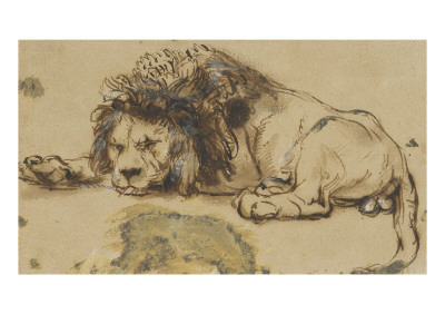 Etude De Lion by Rembrandt Van Rijn Pricing Limited Edition Print image