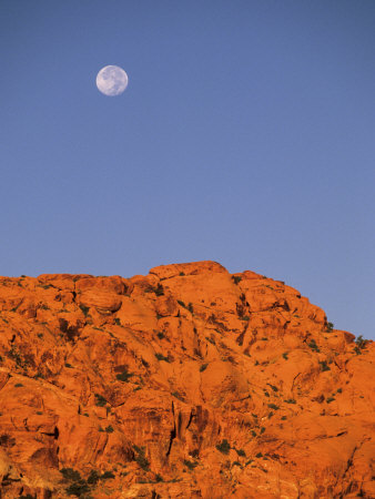 Red Rock Canyon National Conservation Area, Las Vegas, Nevada, Usa by Michael Defreitas Pricing Limited Edition Print image