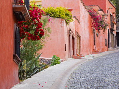 Colorful Neighborhood, San Miguel De Allende, Guanajuato State, Mexico by Julie Eggers Pricing Limited Edition Print image