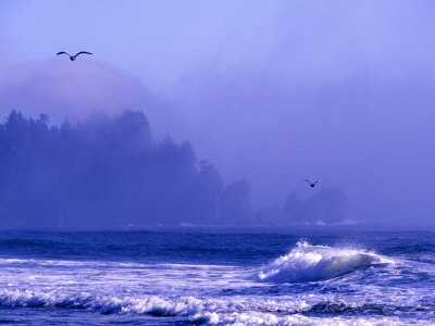 Foggy Coast Headlands At Second Beach, Olympic National Park, Washington, Usa by Charles Crust Pricing Limited Edition Print image