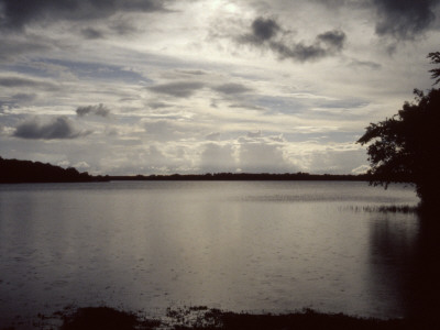 Lakeshore, County Roscommon by Eloise Patrick Pricing Limited Edition Print image