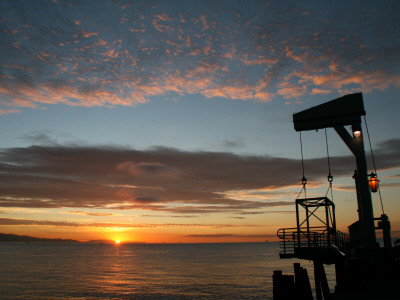 Morning, Santa Barbara Harbor by Eloise Patrick Pricing Limited Edition Print image