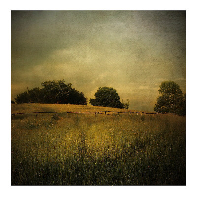 Another Place Ii by Crina Prida Pricing Limited Edition Print image