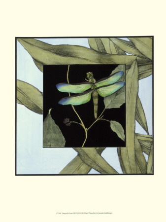 Dragonfly Inset Iii by Jennifer Goldberger Pricing Limited Edition Print image
