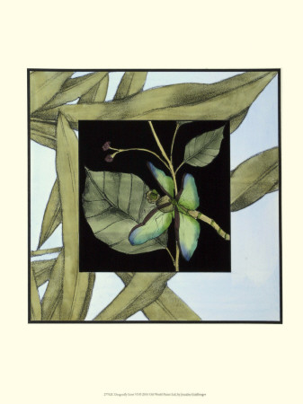 Dragonfly Inset Vi by Jennifer Goldberger Pricing Limited Edition Print image