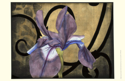 Iris And Scrolls I by Jennifer Goldberger Pricing Limited Edition Print image