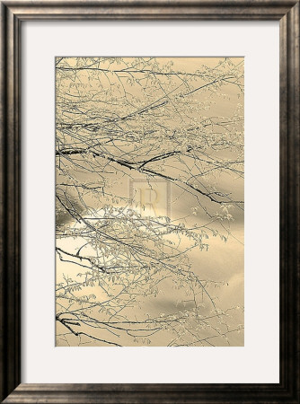 Tranquil Spring by Adam Brock Pricing Limited Edition Print image