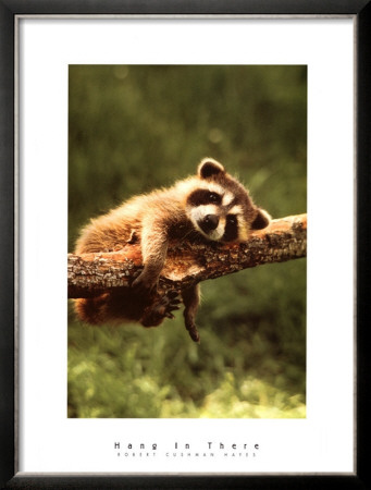 Hang In There by Robert Cushman Hayes Pricing Limited Edition Print image