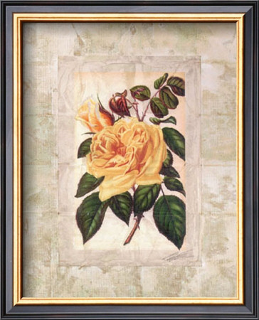 Victorian Rose Ii by John Butler Pricing Limited Edition Print image
