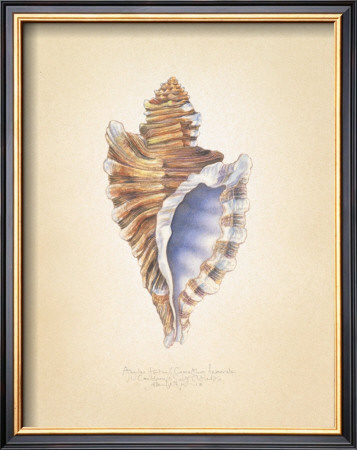 Angular Triton by Richard Van Genderen Pricing Limited Edition Print image