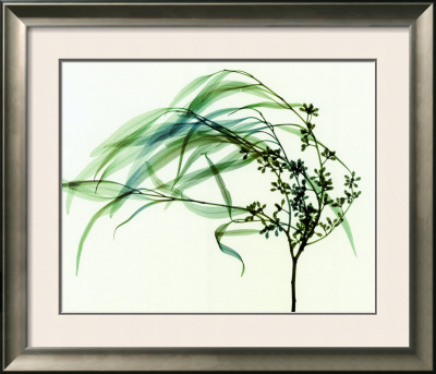 Wind by Steven Meyers Pricing Limited Edition Print image