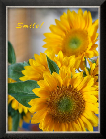 Smile: Sunny Sunflower by Nicole Katano Pricing Limited Edition Print image