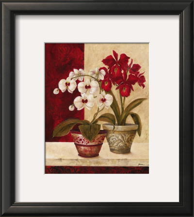 White Orchids by Yuna Pricing Limited Edition Print image