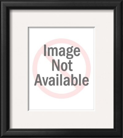 Superstar Iv by Tom Frazier Pricing Limited Edition Print image