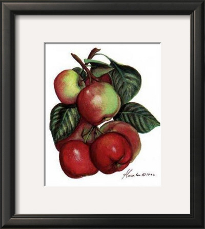 Apples by Consuelo Gamboa Pricing Limited Edition Print image
