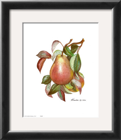Pears by Consuelo Gamboa Pricing Limited Edition Print image