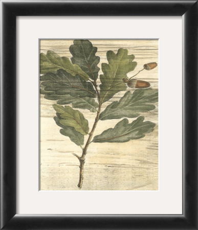 Weathered Oak Leaves Ii by Gerard Paul Deshayes Pricing Limited Edition Print image