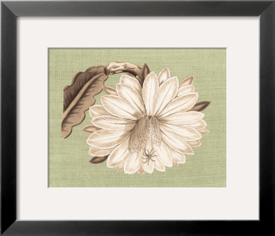 Regencé Lily Ii by Sarah E. Chilton Pricing Limited Edition Print image