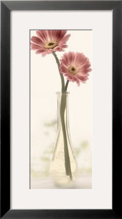 Charming Daisy by Donna Geissler Pricing Limited Edition Print image