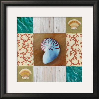 Shell Collage Iii by David Marrocco Pricing Limited Edition Print image