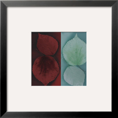 Sycamore by Jane Ann Butler Pricing Limited Edition Print image